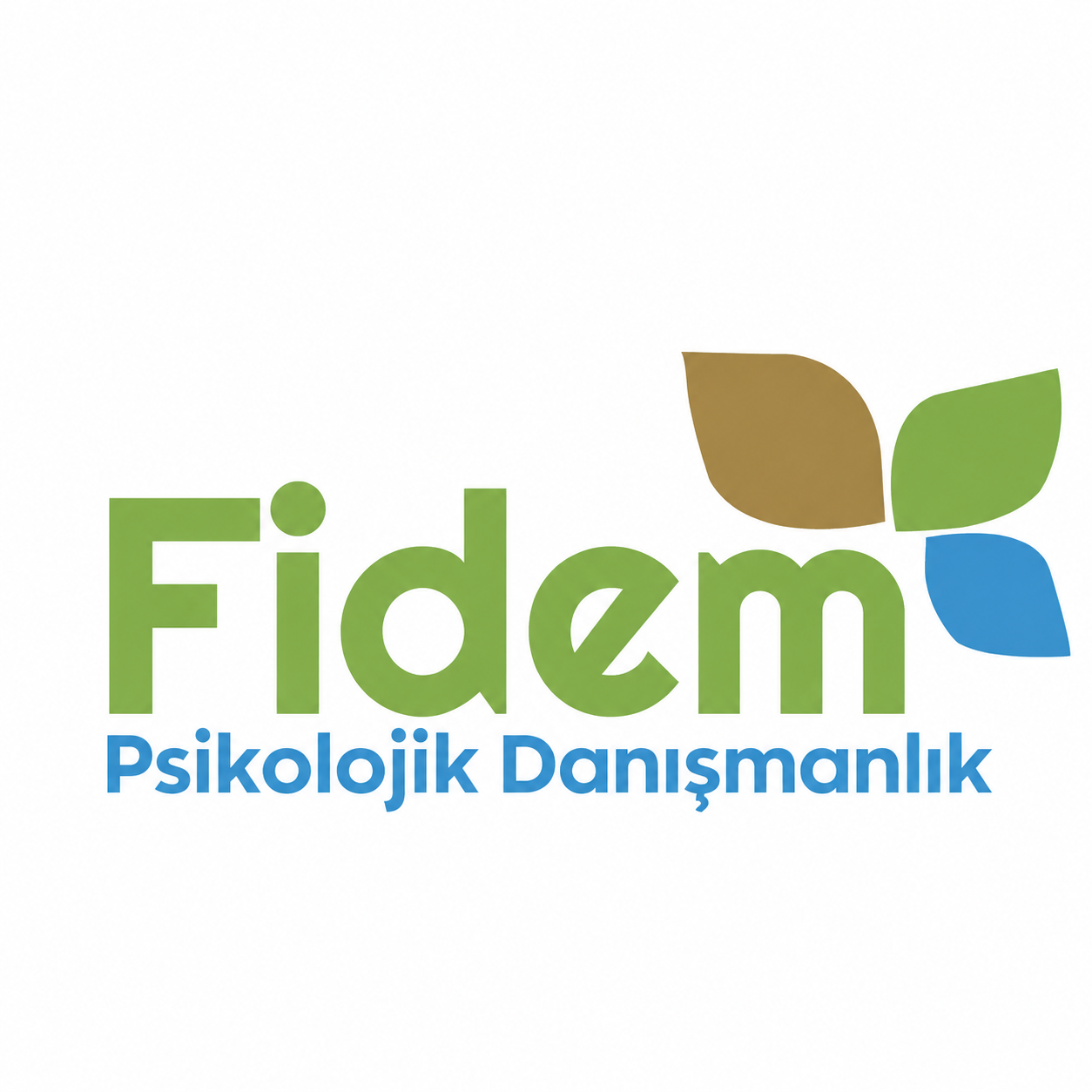 Özel Fidem Rehberlik ve Psikolojik Danışma Merkezi